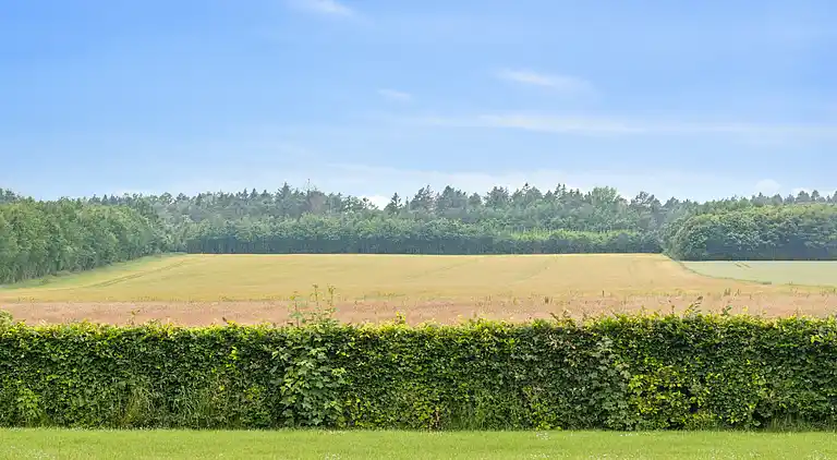 Gut Margretehøj in idyllischer Umgebung