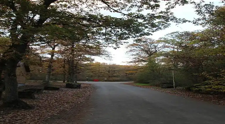 Semesterbostad i Noiseux