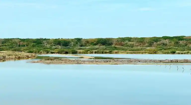 Bungalow i Oignies-en-Thiérache