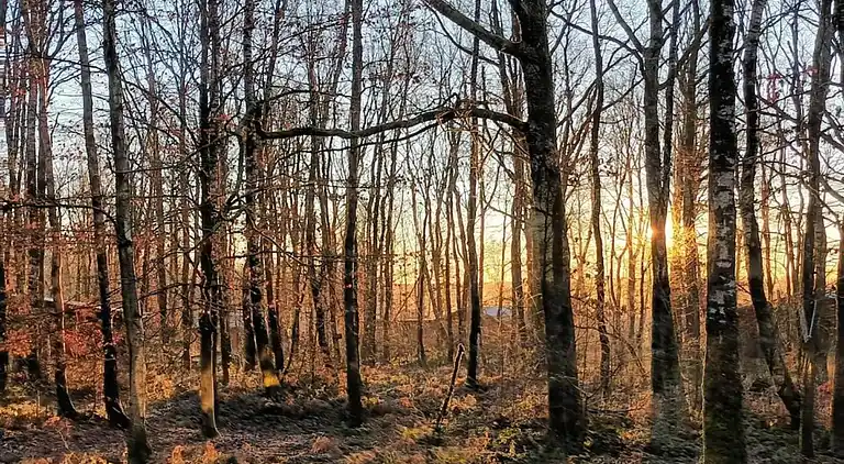 Bungalow i Oignies-en-Thiérache