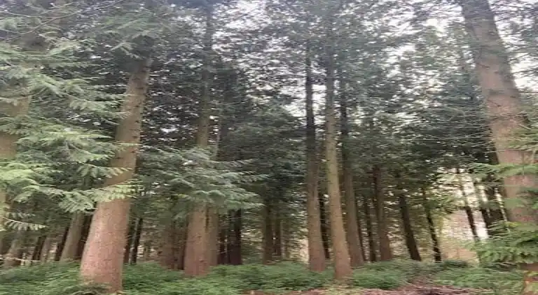 Bungalow i Oignies-en-Thiérache