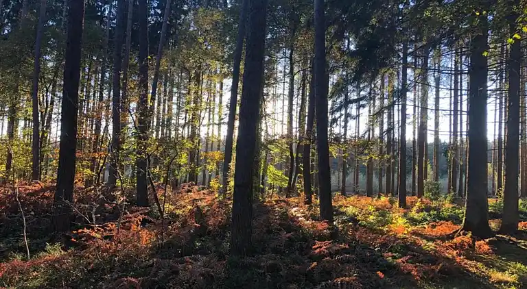 Sommerhus i Oignies-en-Thiérache
