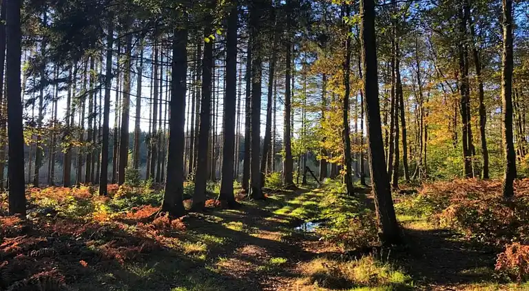 Sommerhus i Oignies-en-Thiérache