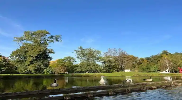 Hytte i Oignies-en-Thiérache