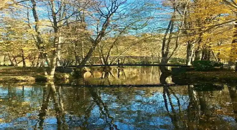 Hytte i Oignies-en-Thiérache