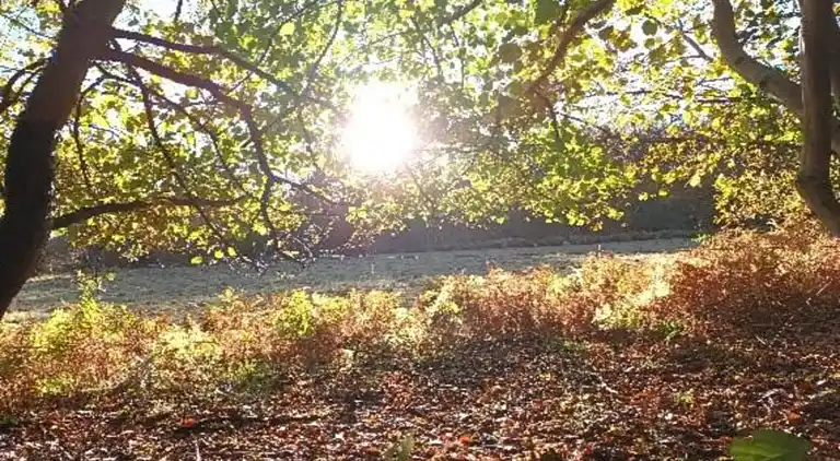 Sommerhus i Oignies-en-Thiérache