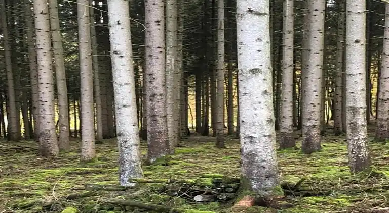 Sommerhus i Oignies-en-Thiérache