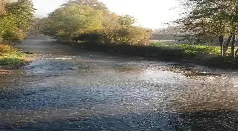 Bungalow i Oignies-en-Thiérache