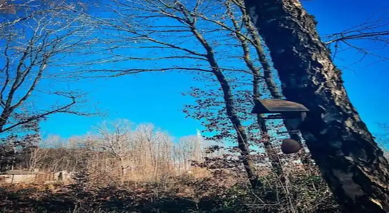 Hytte i Oignies-en-Thiérache