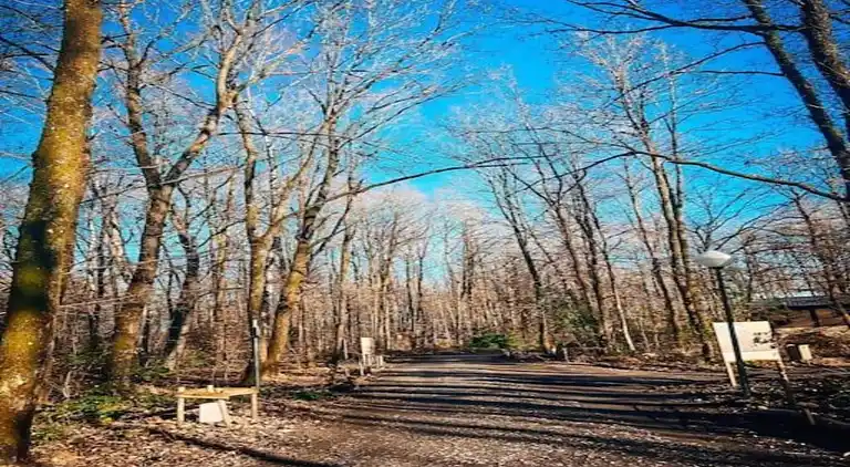 Bungalow i Oignies-en-Thiérache