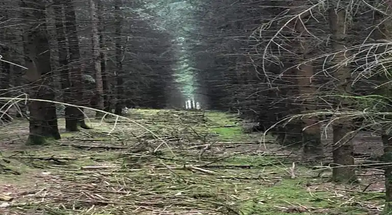 Sommerhus i Oignies-en-Thiérache