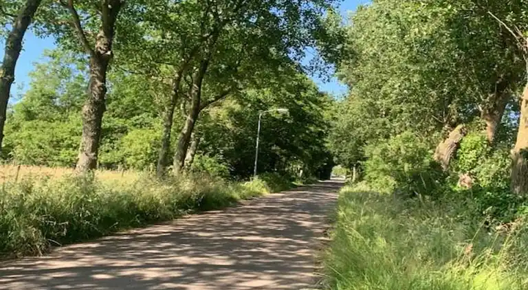 Villa in Hippolytushoef