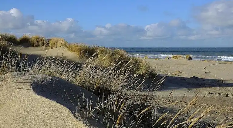 Vakantiehuis in Domburg