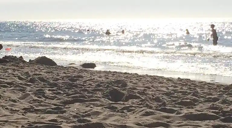 Vakantiehuis in Domburg