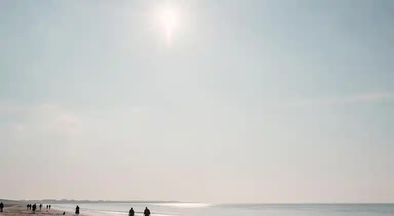 Bungalow  i Kamperland