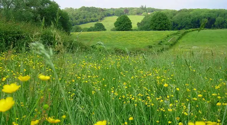Vakantiehuis in Reijmerstok