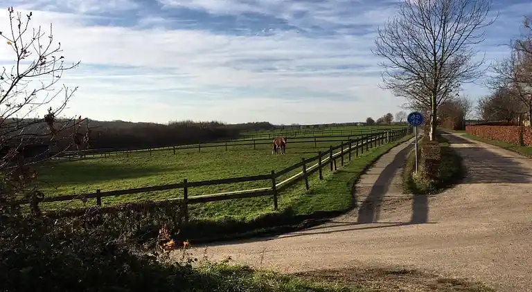 Vakantiehuis in Reijmerstok