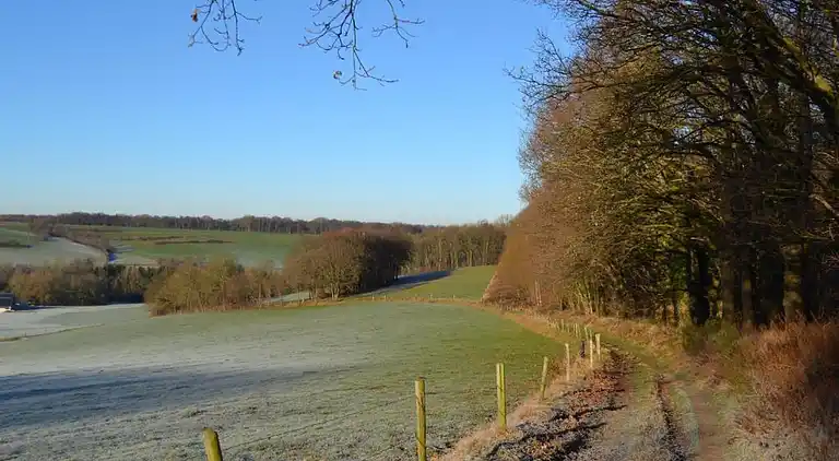 Vakantiehuis in Reijmerstok