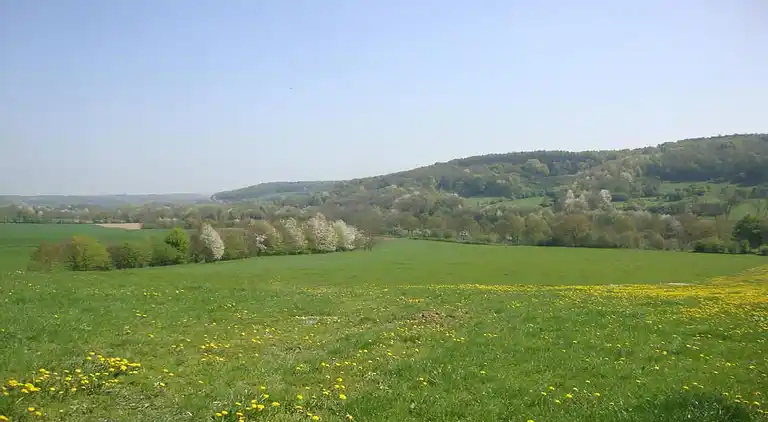 Vakantiehuis in Reijmerstok