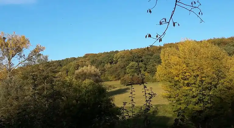 Vakantiehuis in Reijmerstok