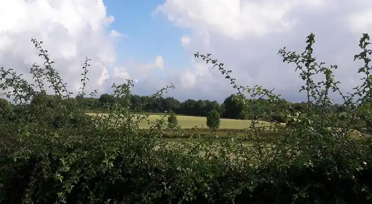 Vakantiehuis in Reijmerstok