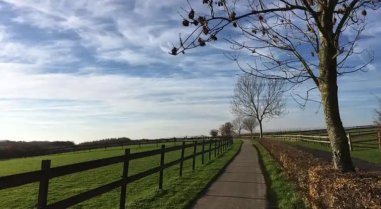Vakantiehuis in Reijmerstok