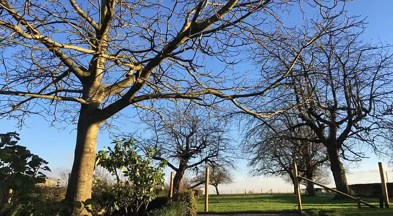 Vakantiehuis in Reijmerstok