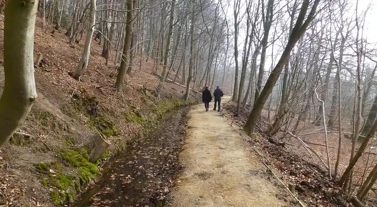 Holiday home in Plasmolen