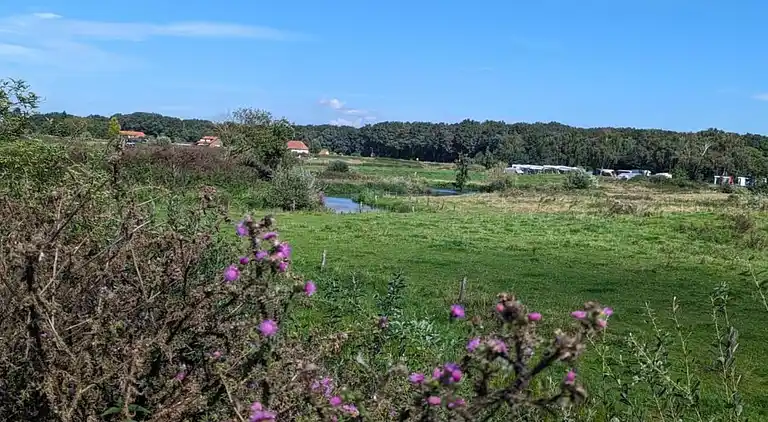 vakantiehuis in Plasmolen