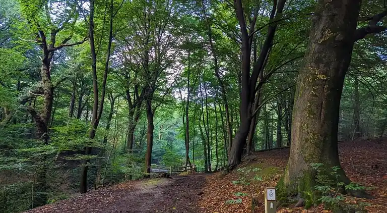 vakantiehuis in Plasmolen