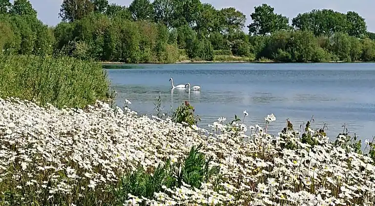 vakantiehuis in Plasmolen