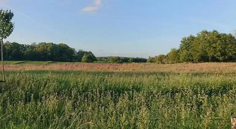 vakantiehuis in Plasmolen