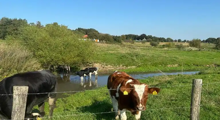 vakantiehuis in Plasmolen