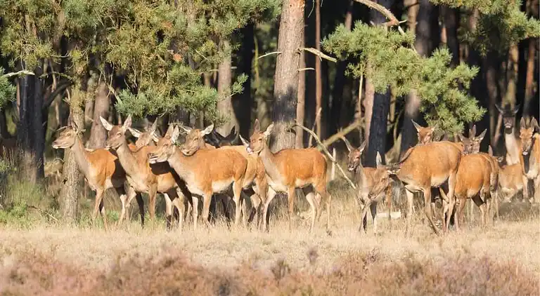 Semesterbostad i Epe