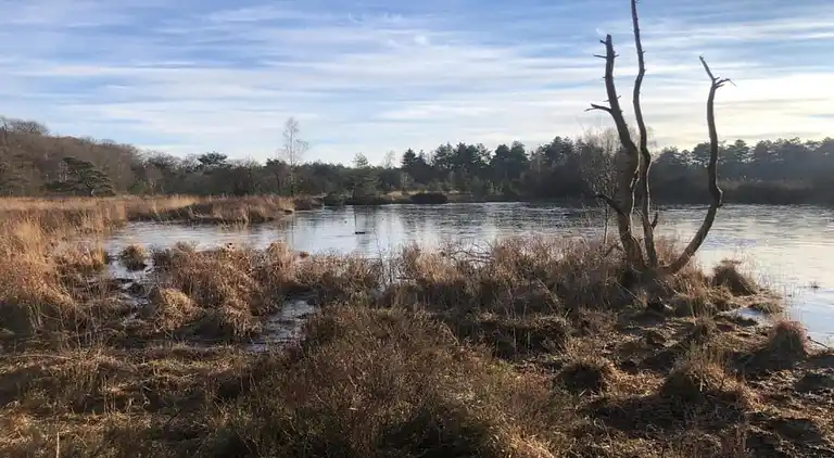 Holiday home in Zorgvlied