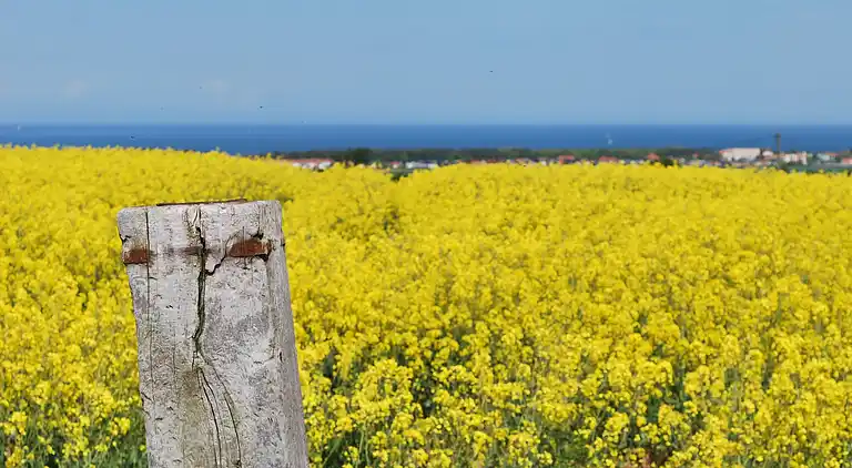 Holiday home in Kägsdorf