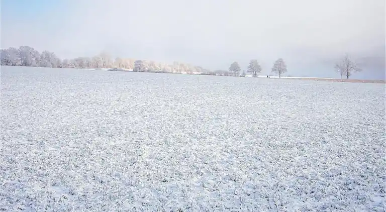 Leilighet i Densberg