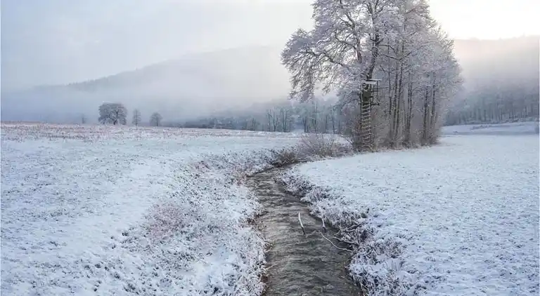 Leilighet i Densberg