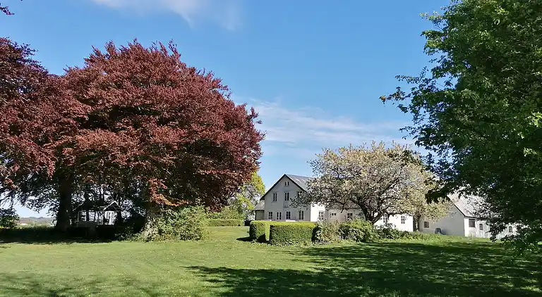 Großes Ferienhaus mitten auf Bornholm