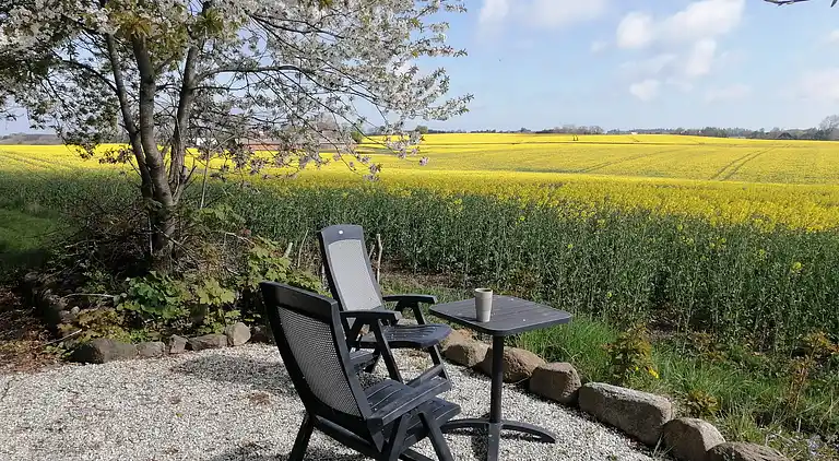 Großes Ferienhaus mitten auf Bornholm