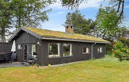 Lovely cottage close to the North Sea
