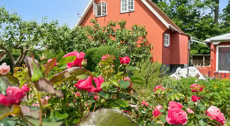 Familieferie nær strand, by og natur