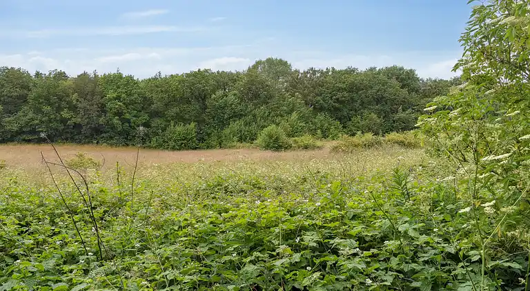 Naturnahe Lage bei Wald, Golf und Strand