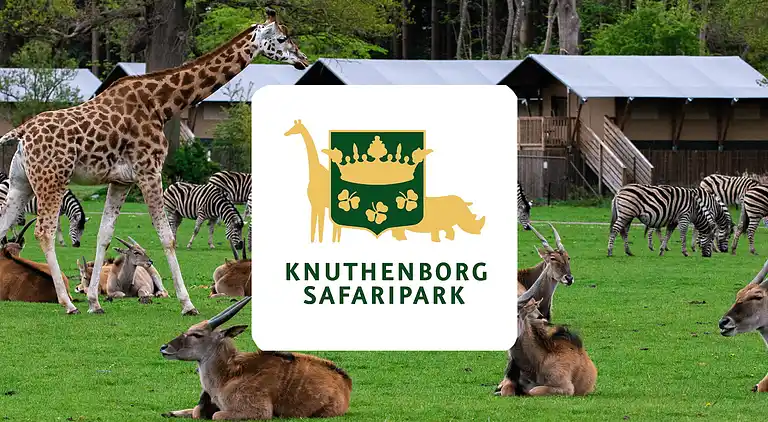 Hyggelig centralt byhus i Nakskov