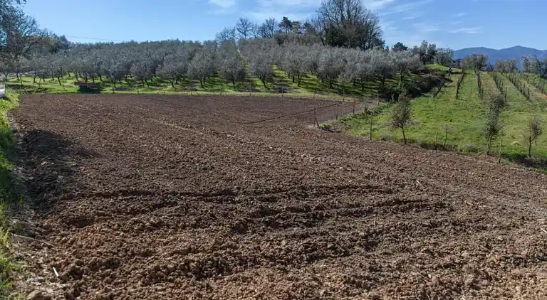 Sommerhus i Walled City