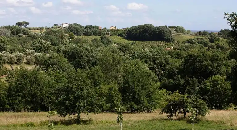 Sommerhus i Walled City