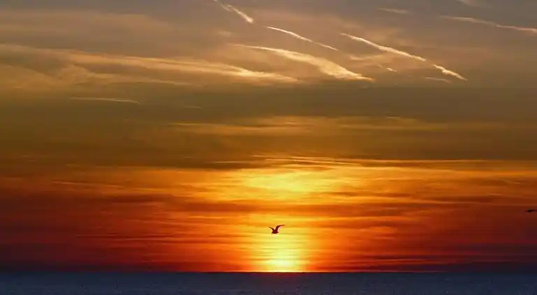 Semesterbostad i Groet