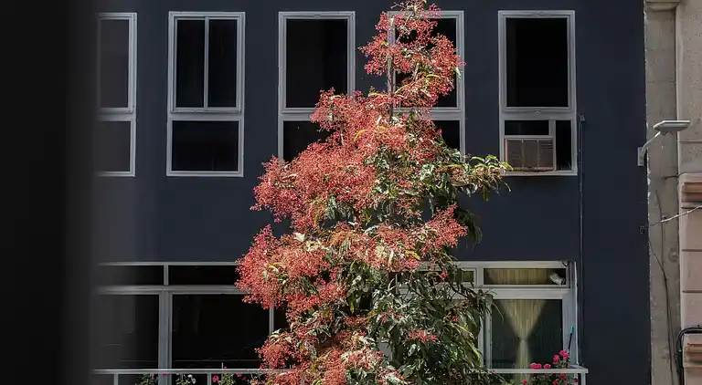 Holiday home in La Isleta