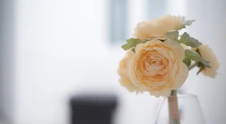 Casa de vacaciones en Isleta