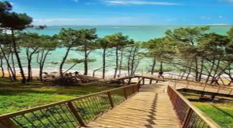 Ferielejlighed i Le Teich